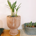Flower Pot Ceramic | Kelmera