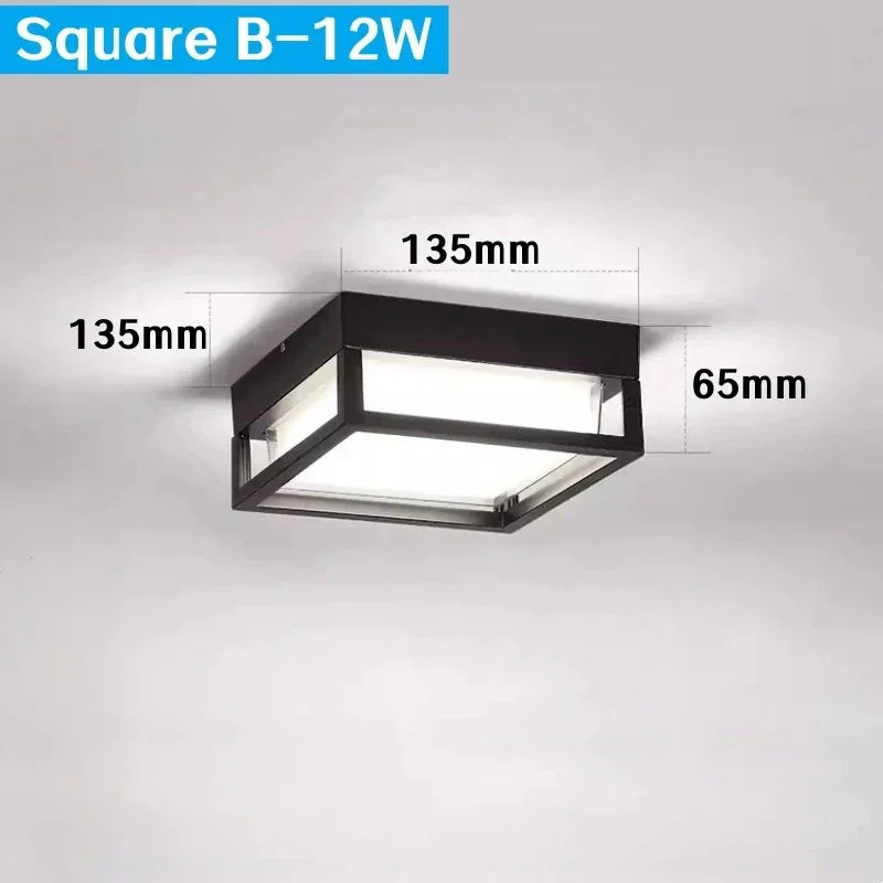Frydunda Outdoor Light