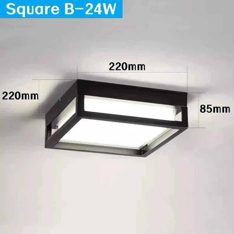 Frydunda Outdoor Light