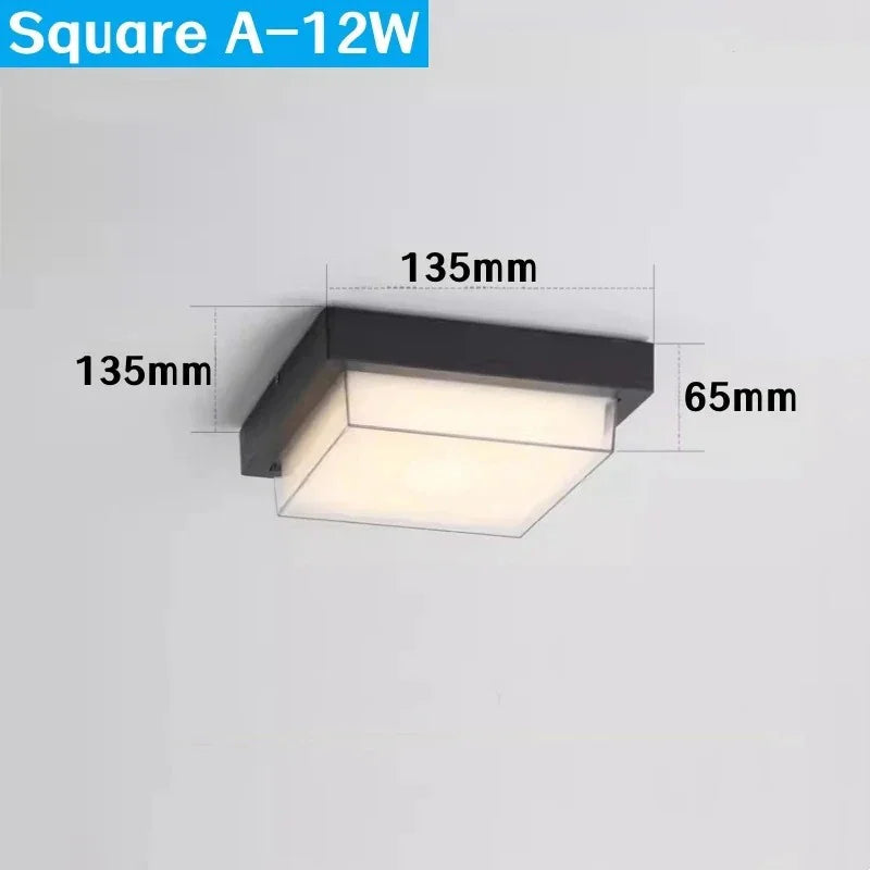 Frydunda Outdoor Light