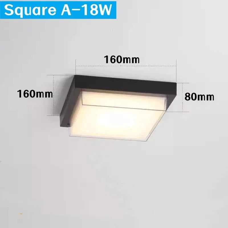 Frydunda Outdoor Light
