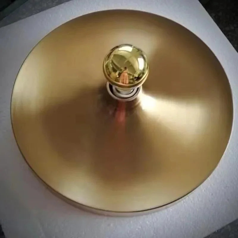 Frylyra Wall and Ceiling Light