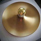 Frylyra Wall and Ceiling Light