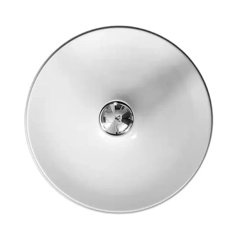 Frylyra Wall and Ceiling Light