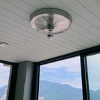 Frylyra Wall and Ceiling Light