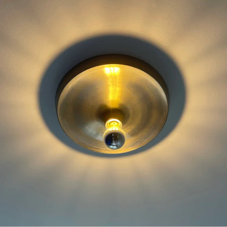 Frylyra Wall and Ceiling Light