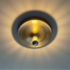 Frylyra Wall and Ceiling Light