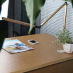 Frynosa Desk Lamp