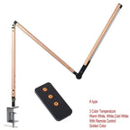 Frynosa Desk Lamp