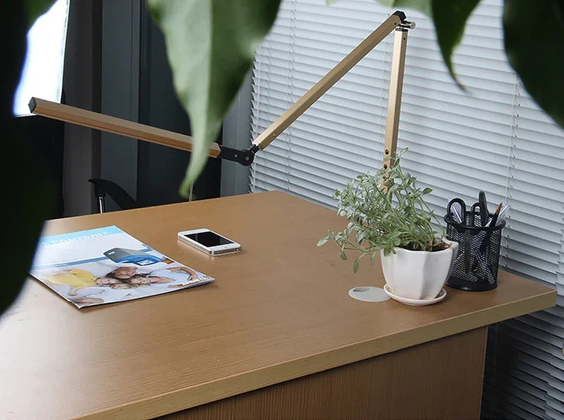 Frynosa Desk Lamp
