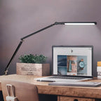 Frynosa Desk Lamp