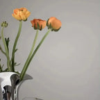 Galorra Vase