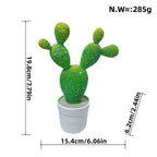 Glittering Cactus Decoration Figure | Kelmera