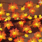 Halloween LED Pumpkin Lantern and Maple Leaf Decorative Fairy Lights | Kelmera