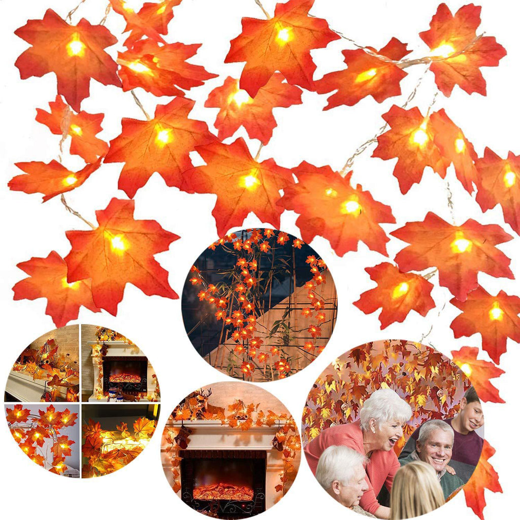 Halloween LED Pumpkin Lantern and Maple Leaf Decorative Fairy Lights | Kelmera