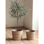 Handwoven Decorative Basket | Kelmera