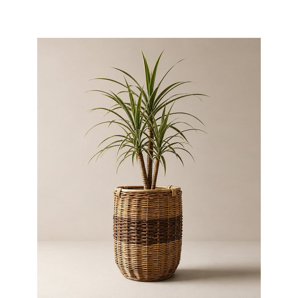 Handwoven Laundry Basket | Kelmera