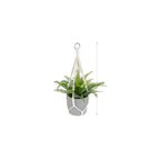 Hanging Macrame Plant Holder Dark Blue Cotton Rope | Kelmera