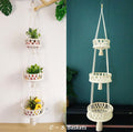 Hanging Macrame Plant Holder | Kelmera