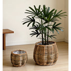 High-Quality Plant Basket made of Natural Willow | Kelmera