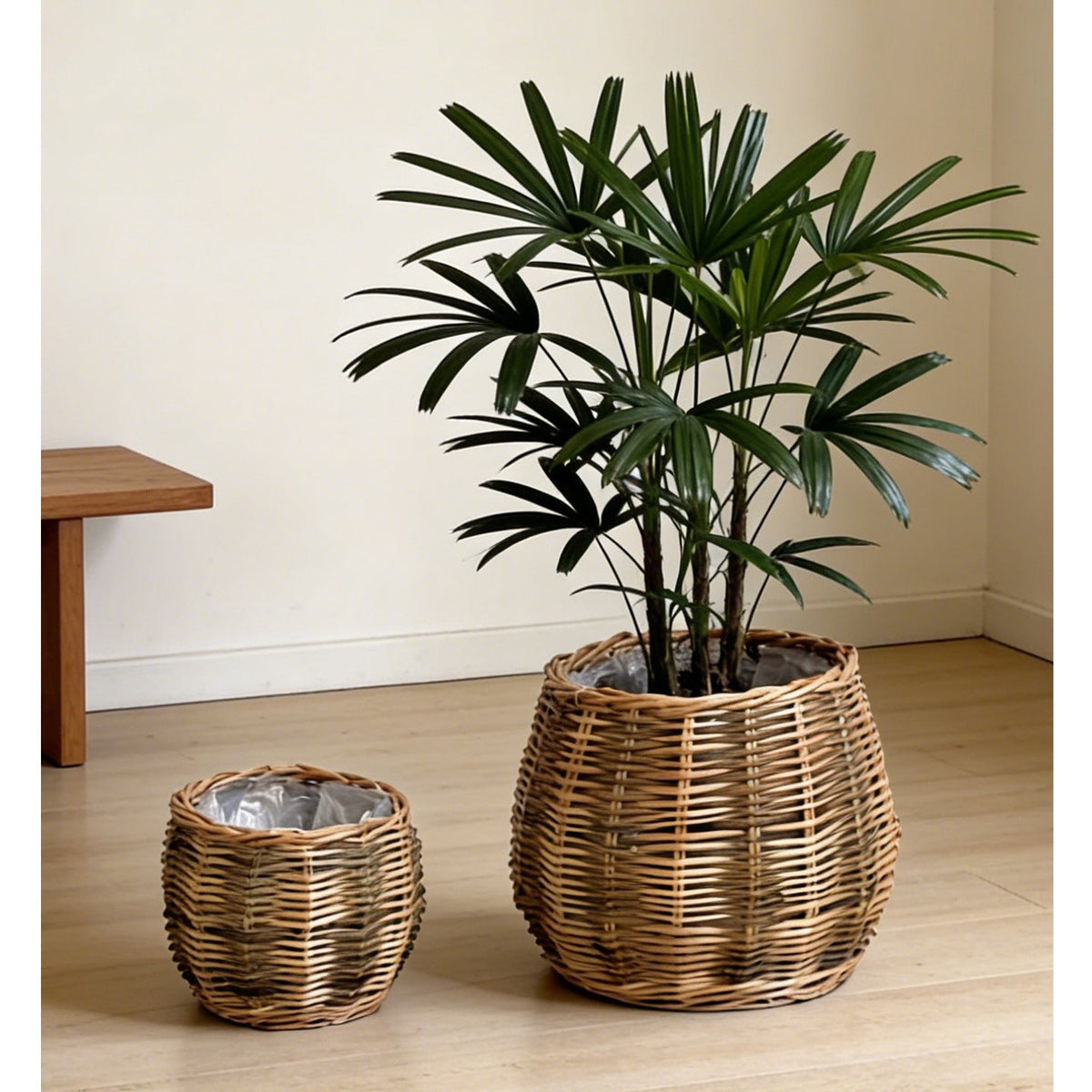 High-Quality Plant Basket made of Natural Willow | Kelmera