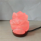 Himalayan Salt Crystal Sphere Lamp with Color Changing LED and Natural Wood Base | Kelmera