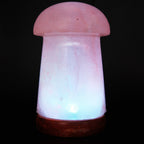 Himalayan Salt Crystal Sphere Lamp with Color Changing LED and Natural Wood Base | Kelmera