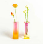 Jaldeno Vase Collection