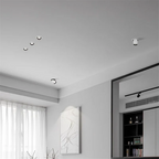 Kaltynta LED Recessed Downlight