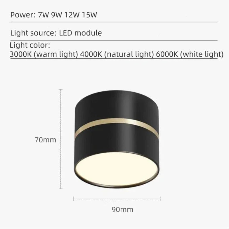 Kalvelta Surface Mounted Downlight