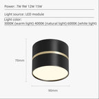 Kalvelta Surface Mounted Downlight