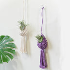Macrame Hanging Plant Holder with Decorative Tassel | Kelmera