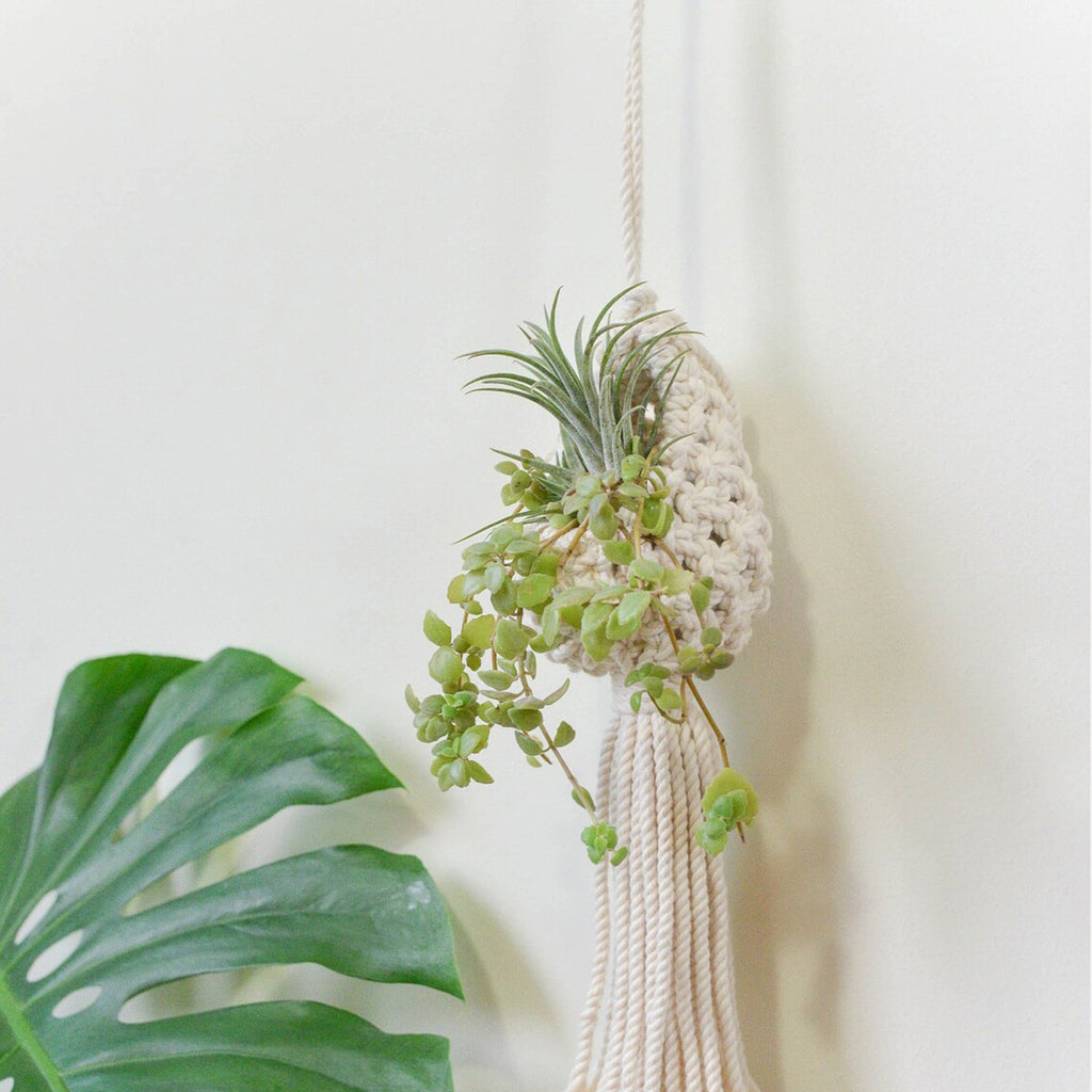 Macrame Hanging Plant Holder with Decorative Tassel | Kelmera
