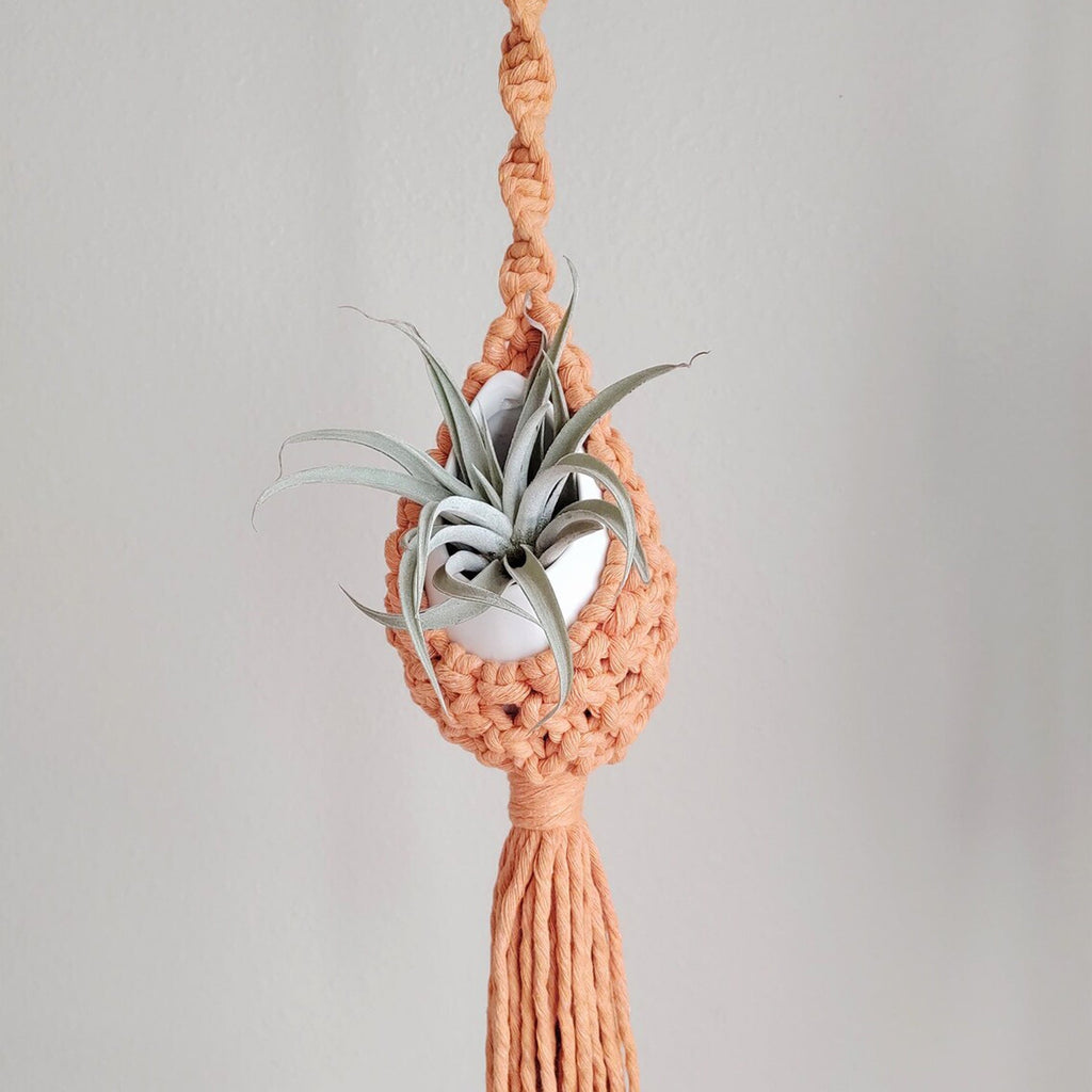 Macrame Hanging Planter Holder | Kelmera