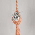 Macrame Hanging Planter Holder | Kelmera