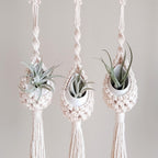 Macrame Hanging Planter Holder | Kelmera