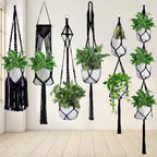 Macrame Plant Hanger Set | Kelmera