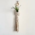Macrame Plant Hanger with Decorative Tassels | Kelmera