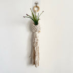 Macrame Plant Hanger with Decorative Tassels | Kelmera