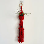Macrame Plant Hanger with Decorative Tassels | Kelmera