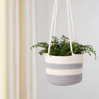 Macrame Plant Swing | Kelmera