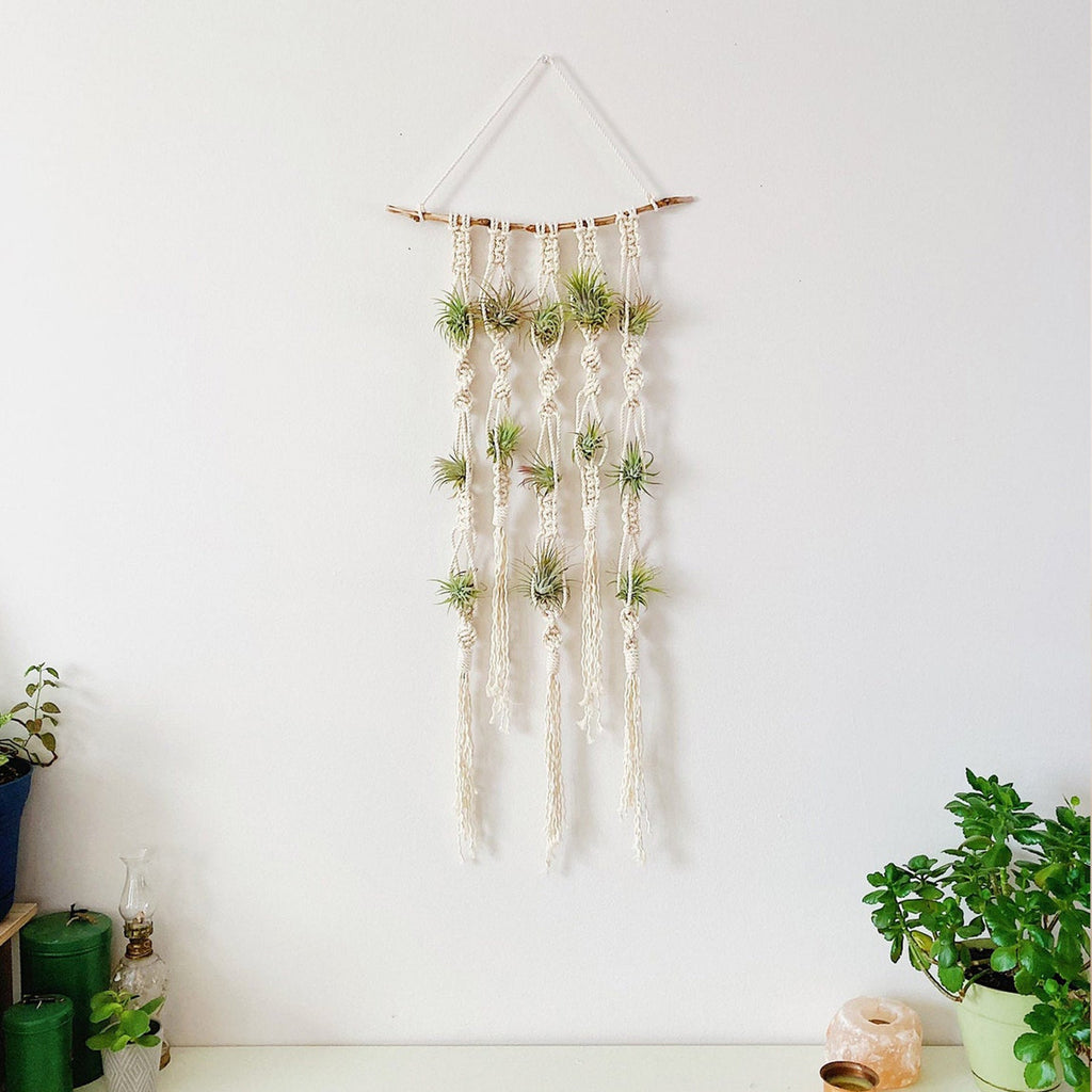 Macrame Plant Wall Hanging Organizer | Kelmera