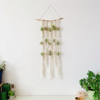 Macrame Plant Wall Hanging Organizer | Kelmera