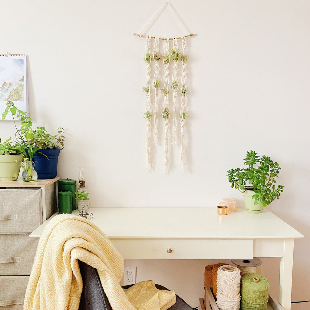 Macrame Plant Wall Hanging Organizer | Kelmera