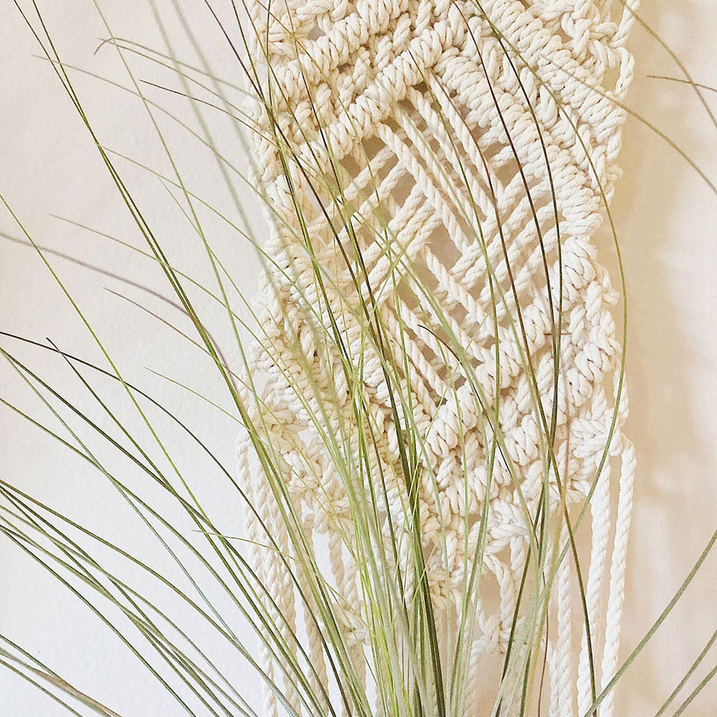 Macrame Wall Hanging Plant Holder | Kelmera