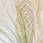 Macrame Wall Hanging Plant Holder | Kelmera