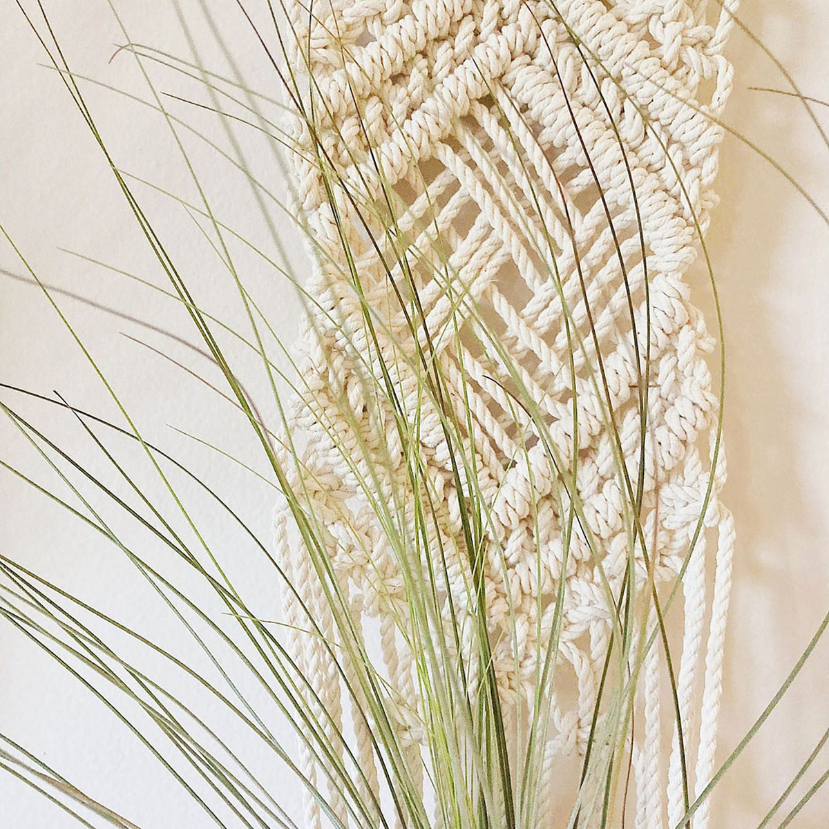 Macrame Wall Hanging Plant Holder | Kelmera