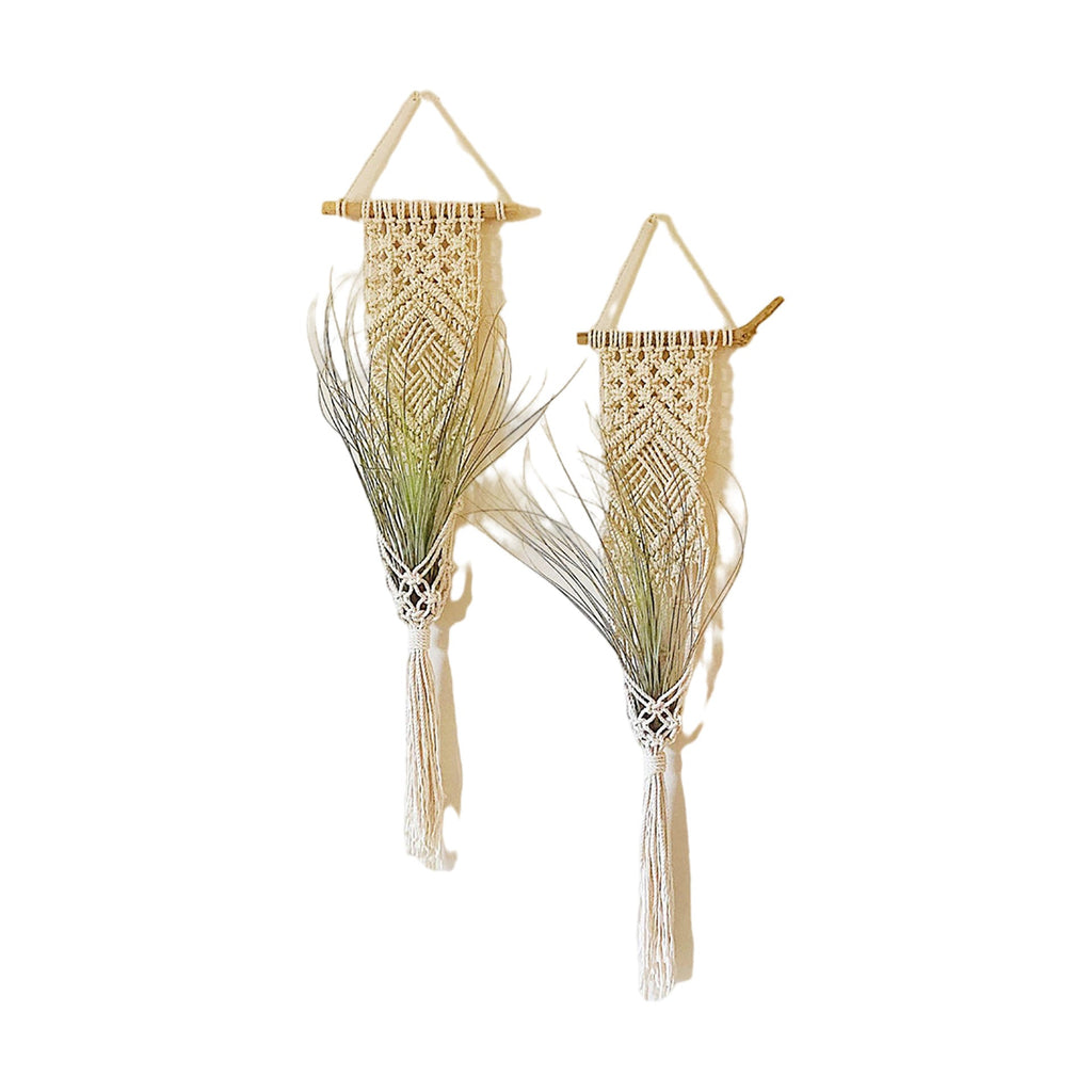 Macrame Wall Hanging Plant Holder | Kelmera