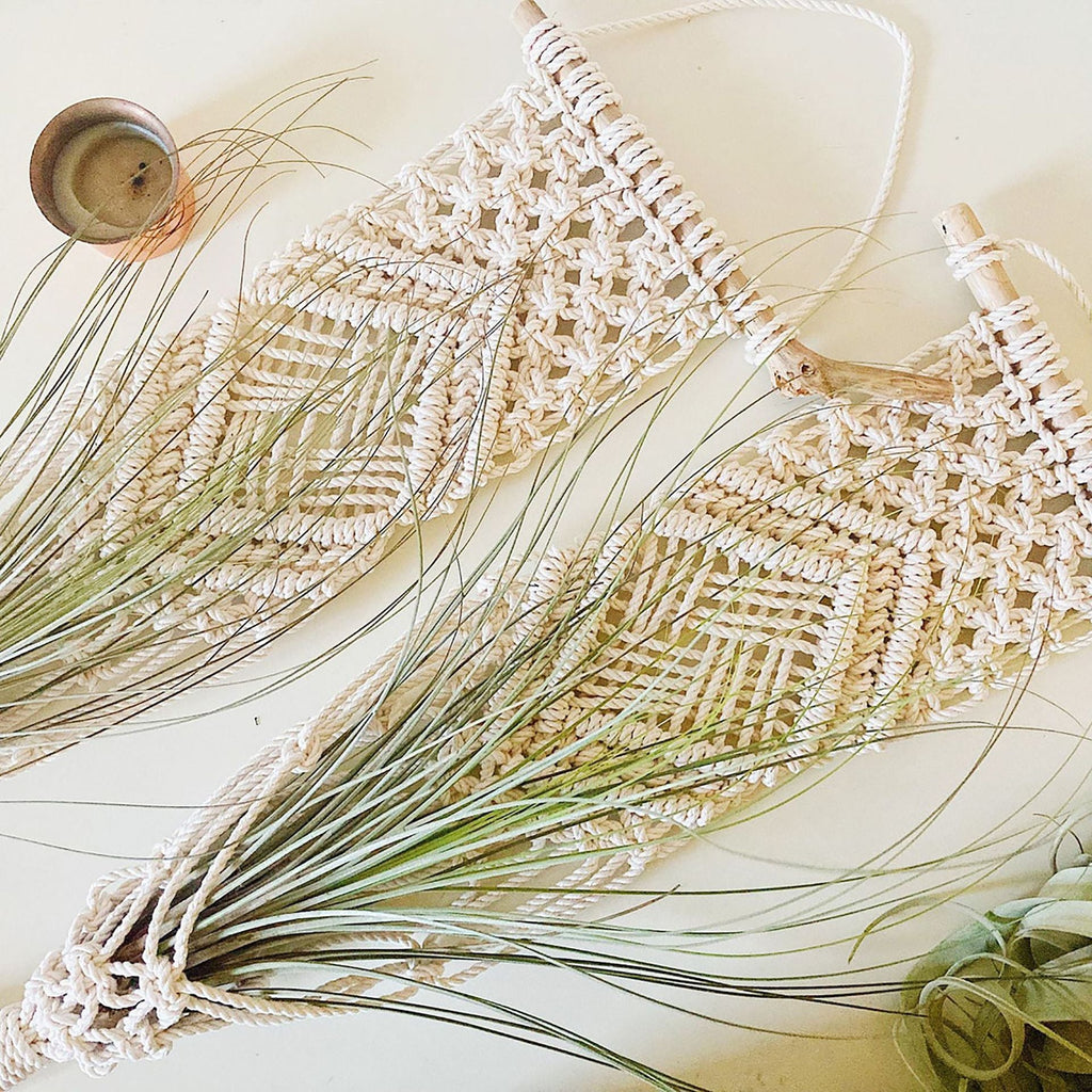 Macrame Wall Hanging Plant Holder | Kelmera