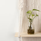Macrame Wall Shelf with Integrated Plant Holder | Kelmera